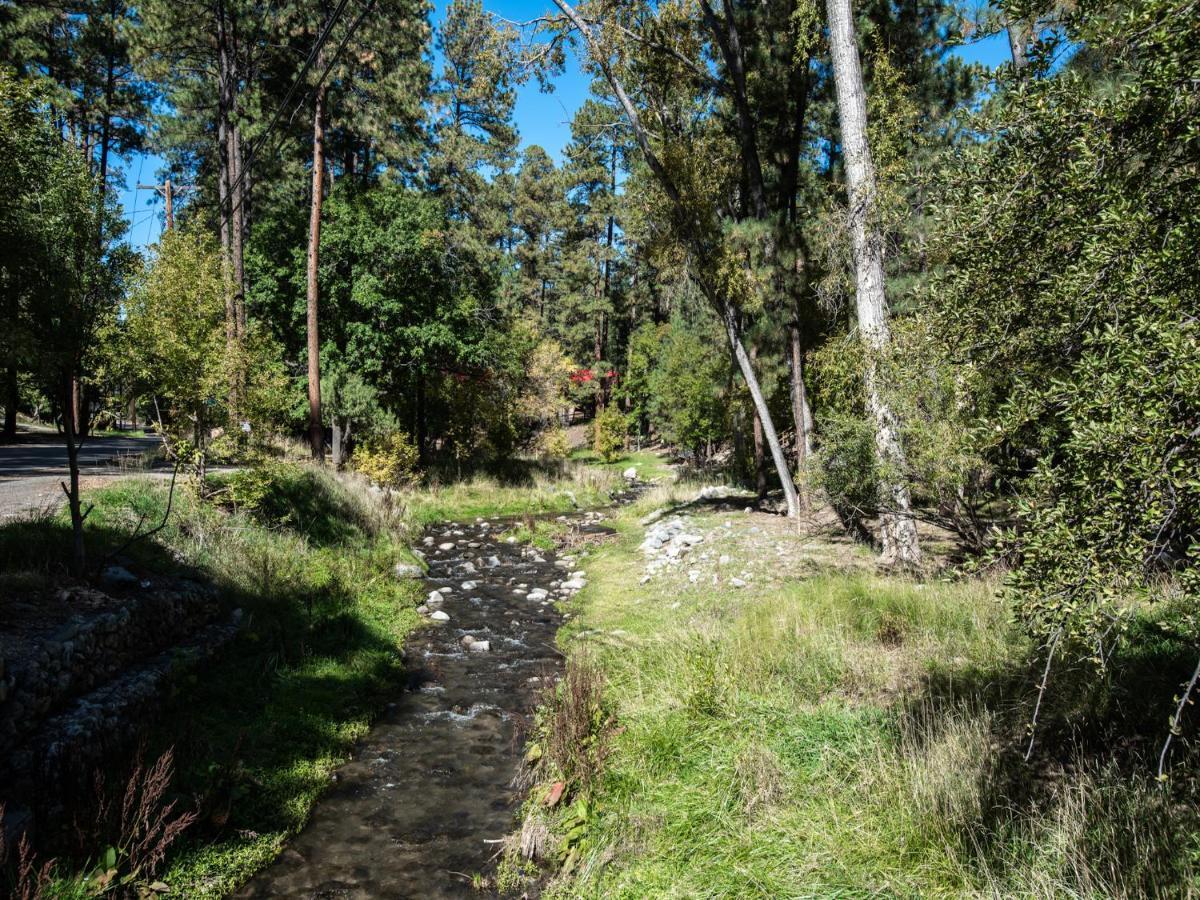 Apache Village 10, King Studio, Midtown, Sleeps 2 Ruidoso Εξωτερικό φωτογραφία